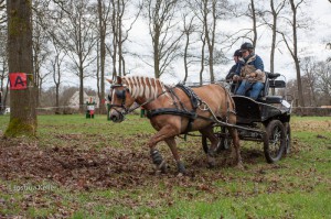 oefenmarathon 2016 MG 3435-3435 